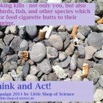 Beach_SmokingKills_LittleShopOfScience_2014