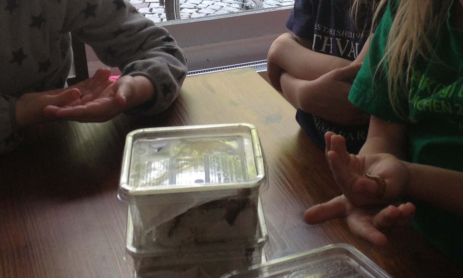 LittleShopOfScience_Insekten